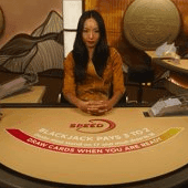한국어 스피드 블랙잭 L thumbnail
